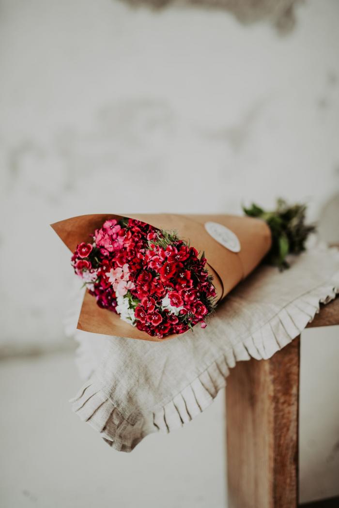 Virág - Törökszegfű