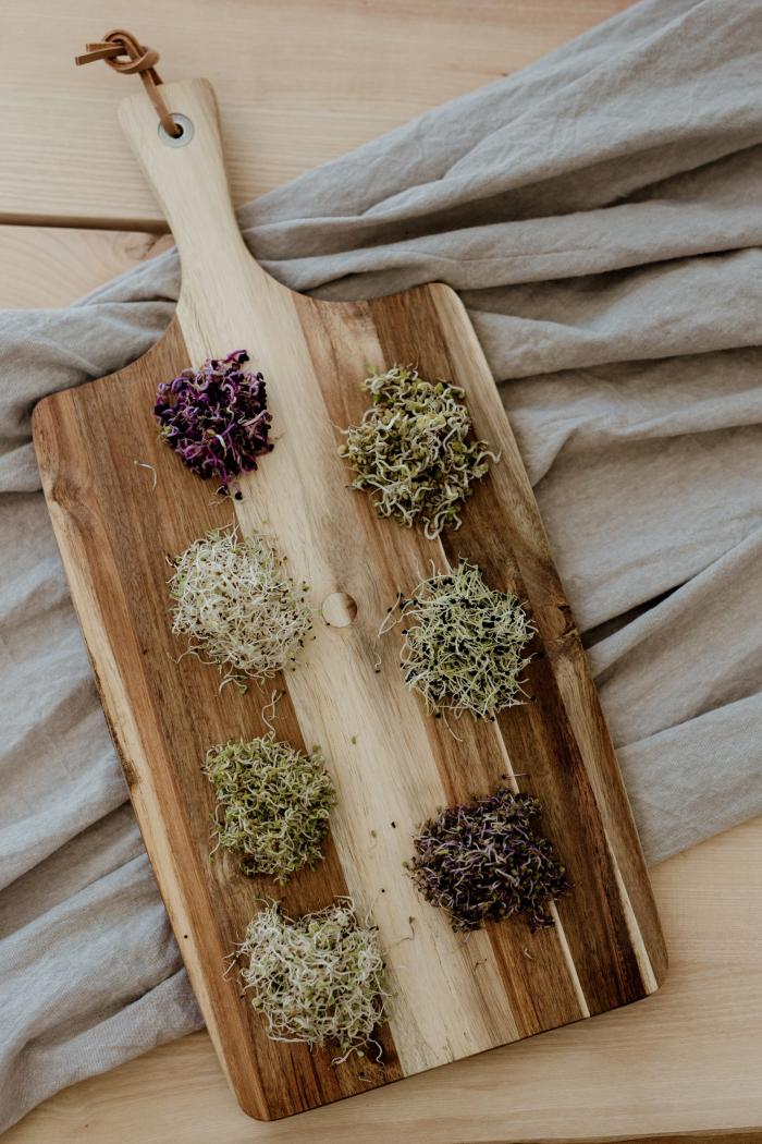 BIO Vöröskáposzta csíra
